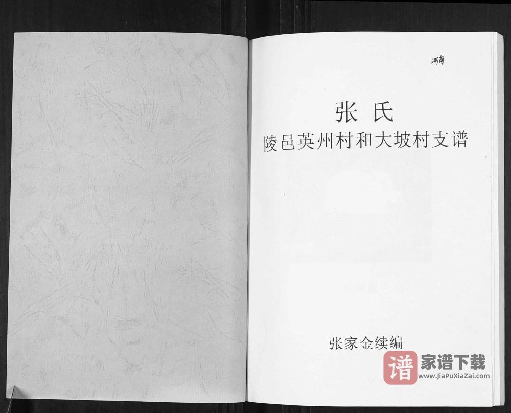图片[2]-海南陵水张氏陵邑英州村和大坡村支谱PDF高清电子版下载-家谱下载