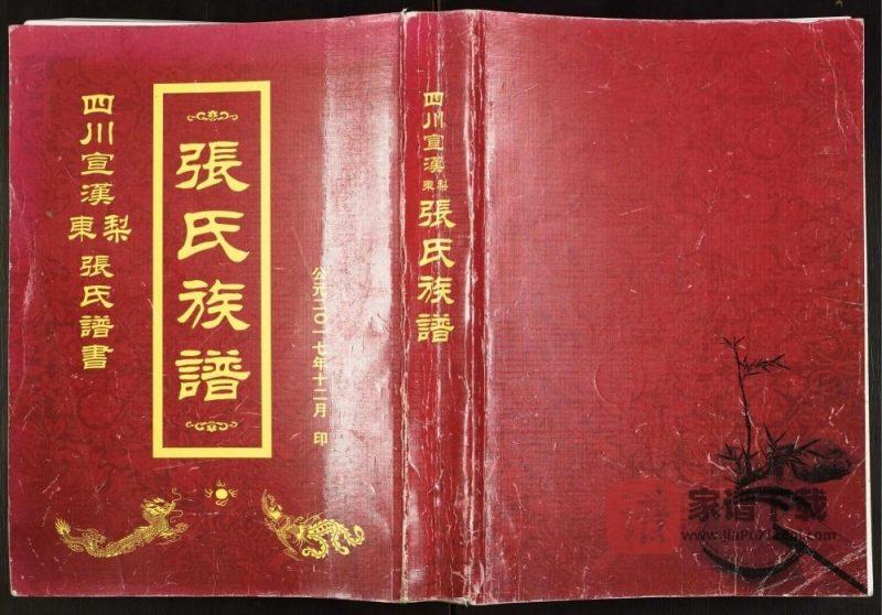 四川达州宣汉梨东张氏族谱PDF高清电子版下载-家谱下载