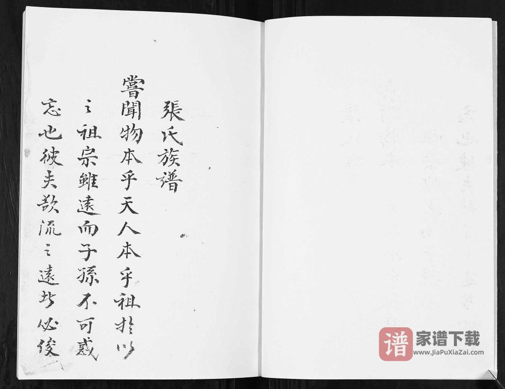 图片[2]-云南昭通镇雄县张氏宗族谱（百忍堂）PDF高清电子版下载-家谱下载