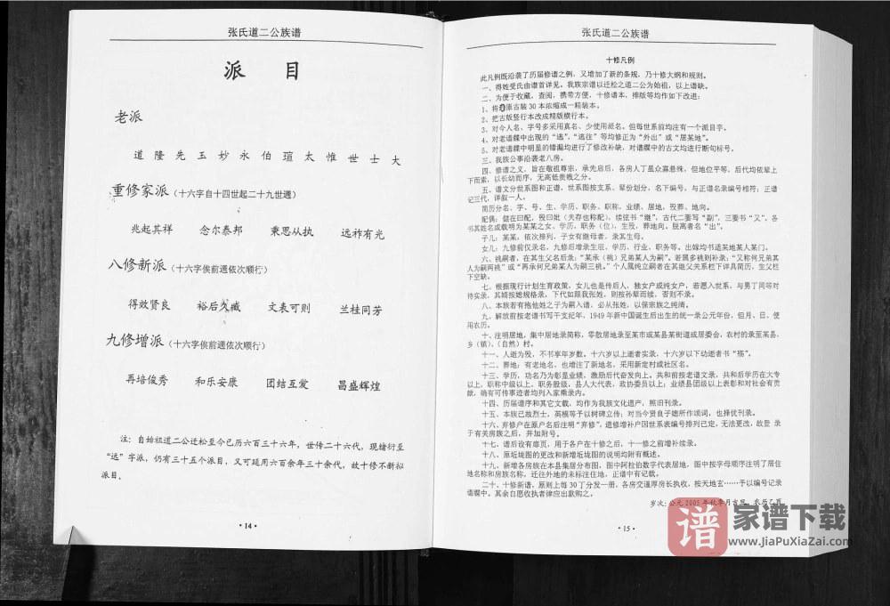 图片[2]-安徽安庆宿松县张氏道二公族谱（怀德堂）PDF高清电子版下载-家谱下载