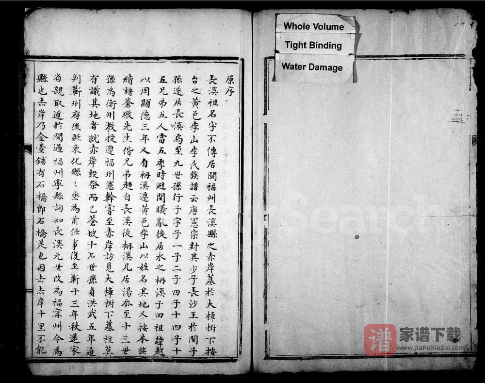 浙江温州永嘉县鲤溪李氏宗谱PDF高清电子版下载