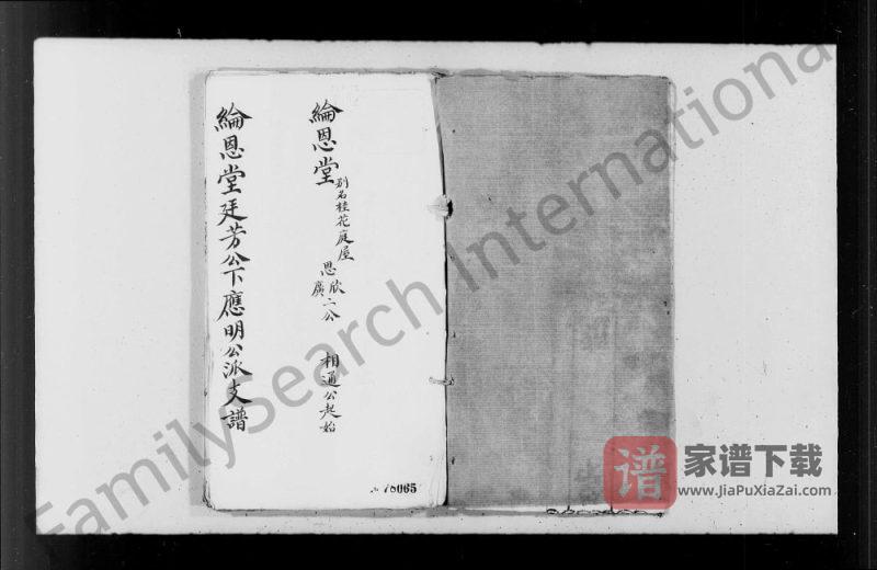 李氏纶恩堂廷芳公下应明公派支谱PDF高清电子版下载-家谱下载