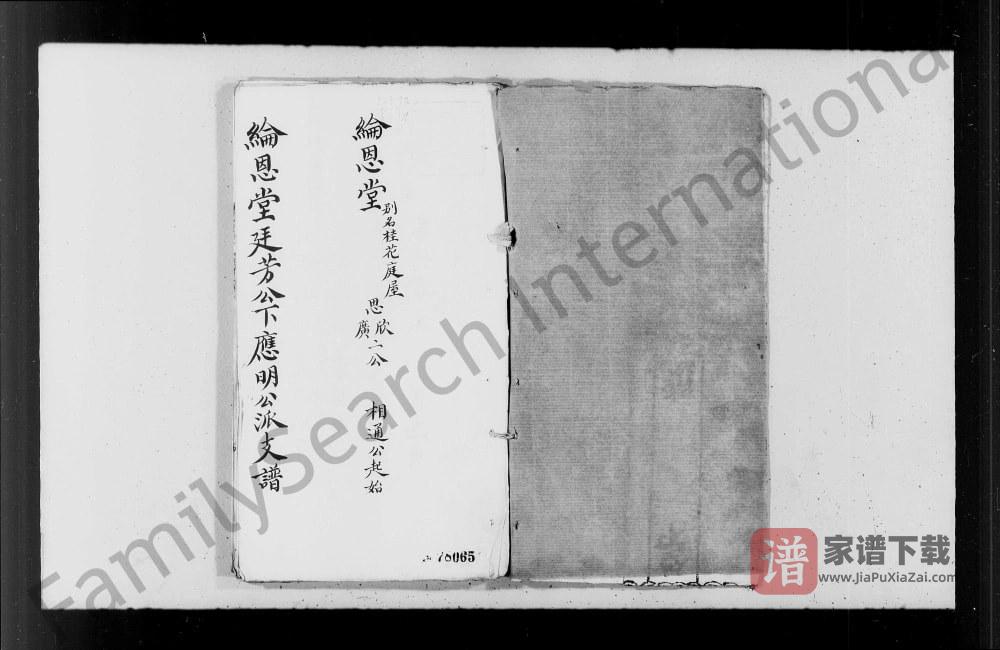 图片[1]-李氏纶恩堂廷芳公下应明公派支谱PDF高清电子版下载-家谱下载