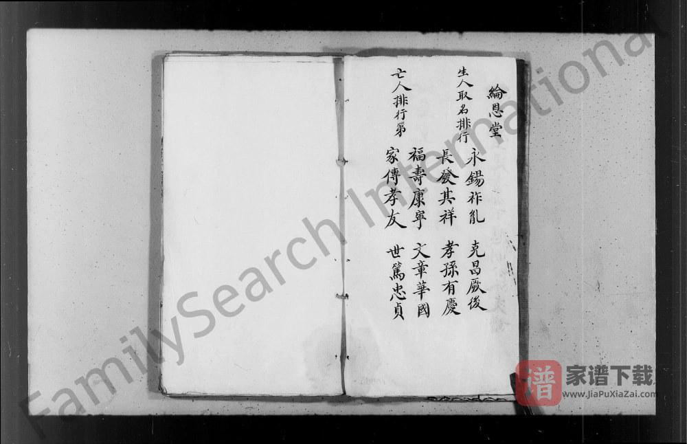 图片[2]-李氏纶恩堂廷芳公下应明公派支谱PDF高清电子版下载-家谱下载