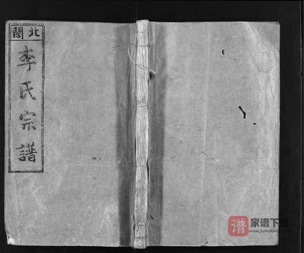 图片[1]-浙江乐清北閤李氏宗谱PDF高清电子版下载-家谱下载