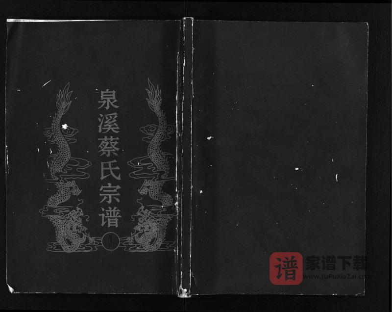 浙江金华武义泉溪蔡氏宗谱PDF高清电子版下载-家谱下载