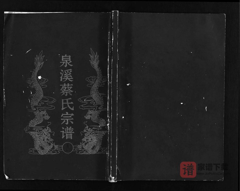 图片[1]-浙江金华武义泉溪蔡氏宗谱PDF高清电子版下载-家谱下载