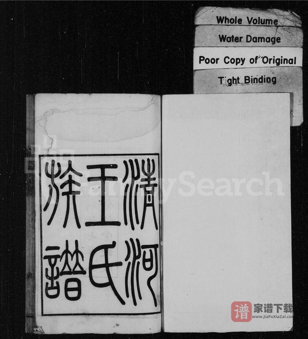 图片[1]-江苏淮安清河王氏族谱（介福堂）PDF高清电子版下载-家谱下载