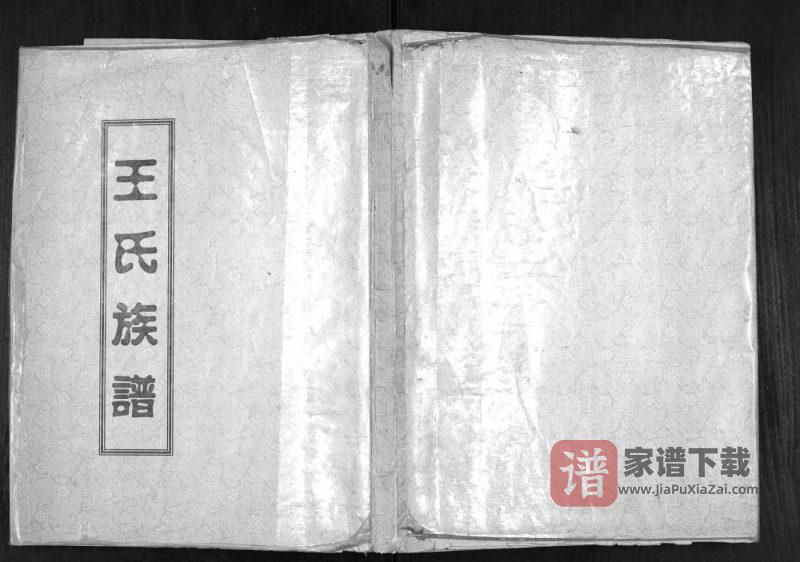 山东济宁微山县王氏族谱PDF高清电子版下载-家谱下载