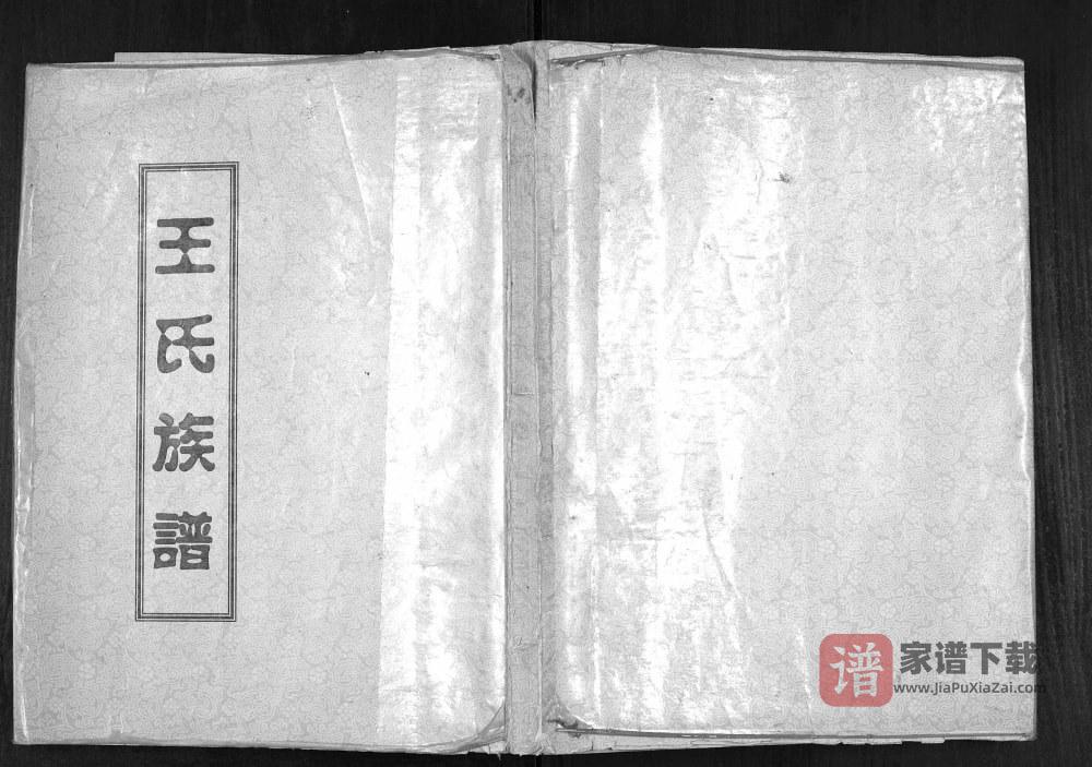 图片[1]-山东济宁微山县王氏族谱PDF高清电子版下载-家谱下载