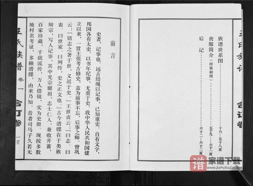 图片[2]-山东济宁微山县王氏族谱PDF高清电子版下载-家谱下载