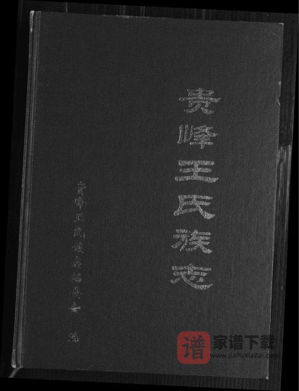 福建南安贵峰王氏族志PDF高清电子版下载-家谱下载