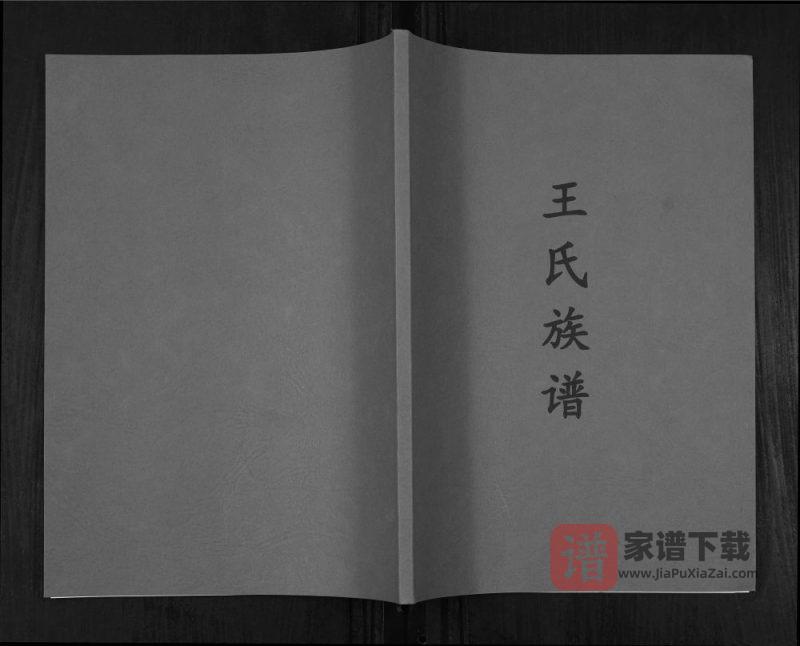 重庆渝北区王氏族谱PDF高清电子版下载-家谱下载