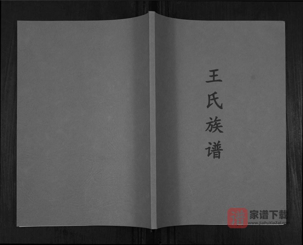 图片[1]-重庆渝北区王氏族谱PDF高清电子版下载-家谱下载