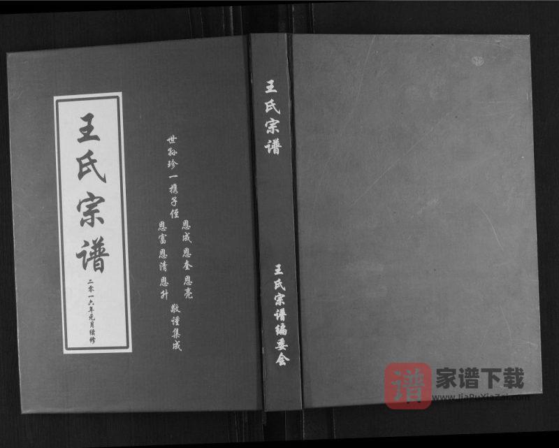 山东日照琅琊王氏宗谱PDF高清电子版下载-家谱下载