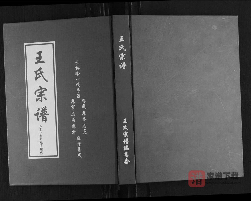 图片[1]-山东日照琅琊王氏宗谱PDF高清电子版下载-家谱下载