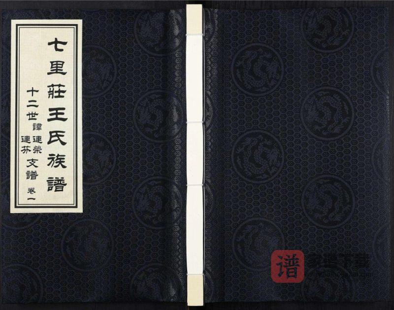 山东寿光七里庄王氏族谱十二世讳连荣连芬支谱PDF高清电子版下载-家谱下载