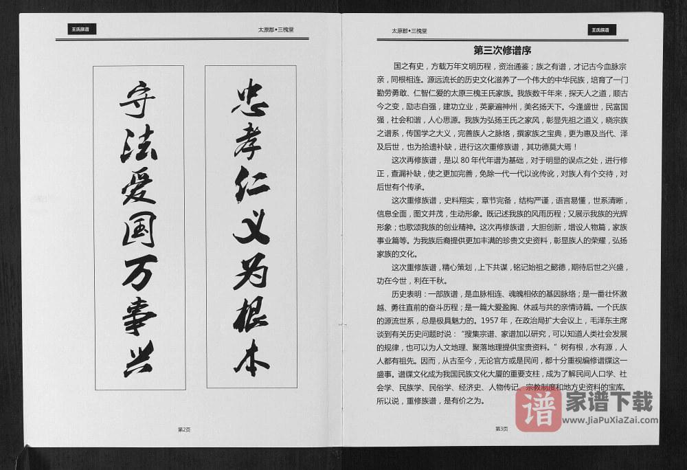 图片[2]-贵州仁怀王氏族谱（三槐堂）PDF高清电子版下载-家谱下载