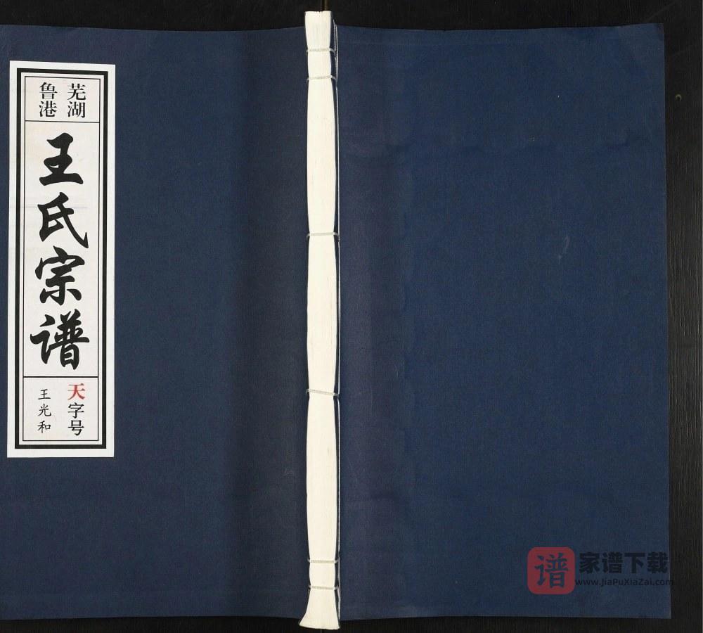 图片[1]-安徽芜湖鲁港王氏宗谱（三槐堂）PDF高清电子版下载-家谱下载