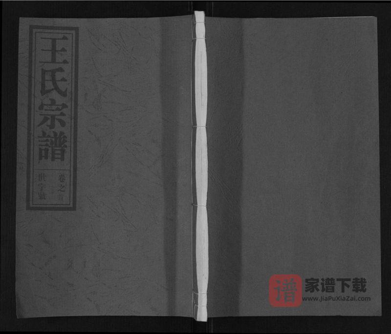 安徽合肥肥东县王氏宗谱（三槐堂）PDF高清电子版下载-家谱下载