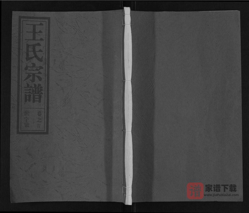 图片[1]-安徽合肥肥东县王氏宗谱（三槐堂）PDF高清电子版下载-家谱下载