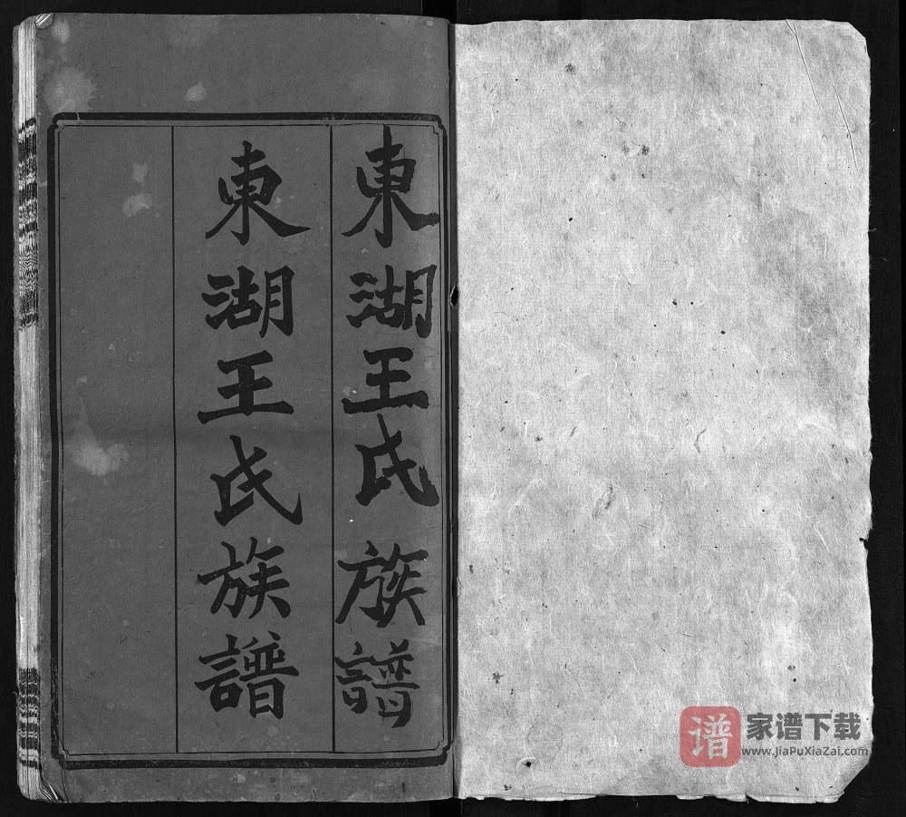 图片[1]-湖南长沙宁乡县楚南沩宁东湖王氏六修族谱（孝友堂）PDF高清电子版下载-家谱下载