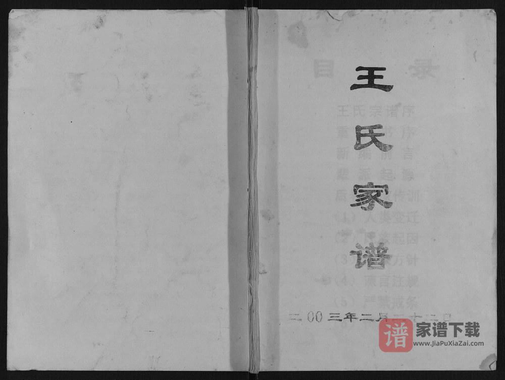 重庆万州王氏家谱PDF高清电子版下载