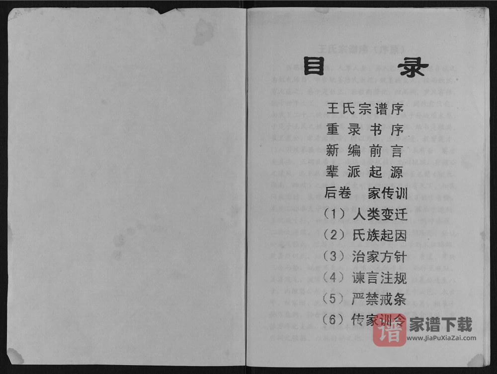 图片[2]-重庆万州王氏家谱PDF高清电子版下载-家谱下载