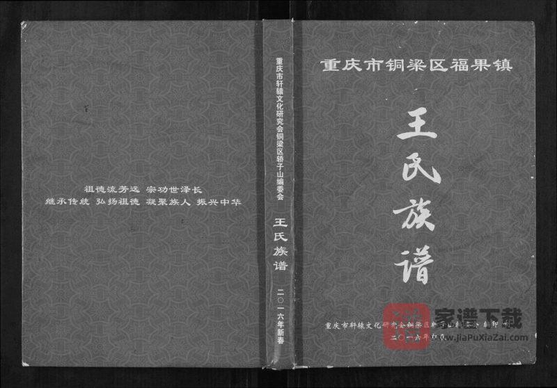 重庆铜梁区福果镇轿子山王氏族谱PDF高清电子版下载-家谱下载