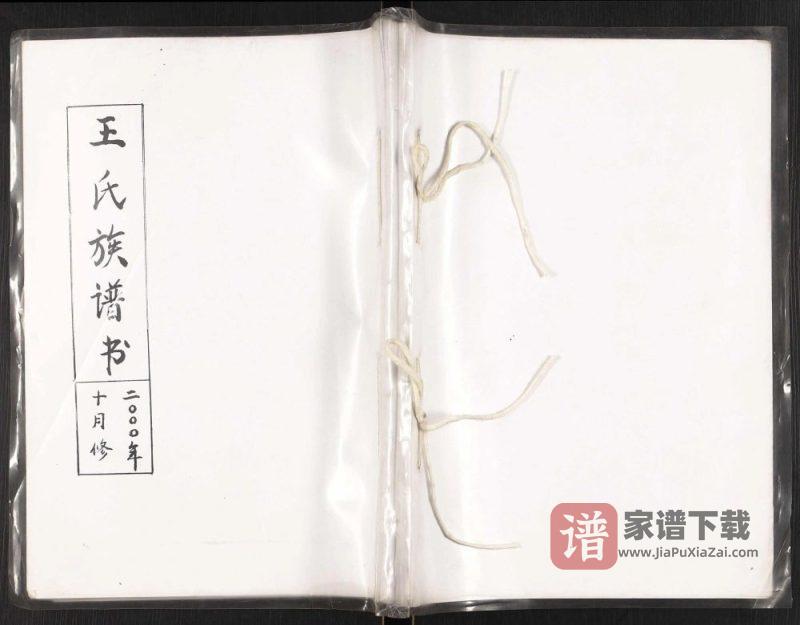 辽宁瓦房店王氏族谱书PDF高清电子版下载-家谱下载
