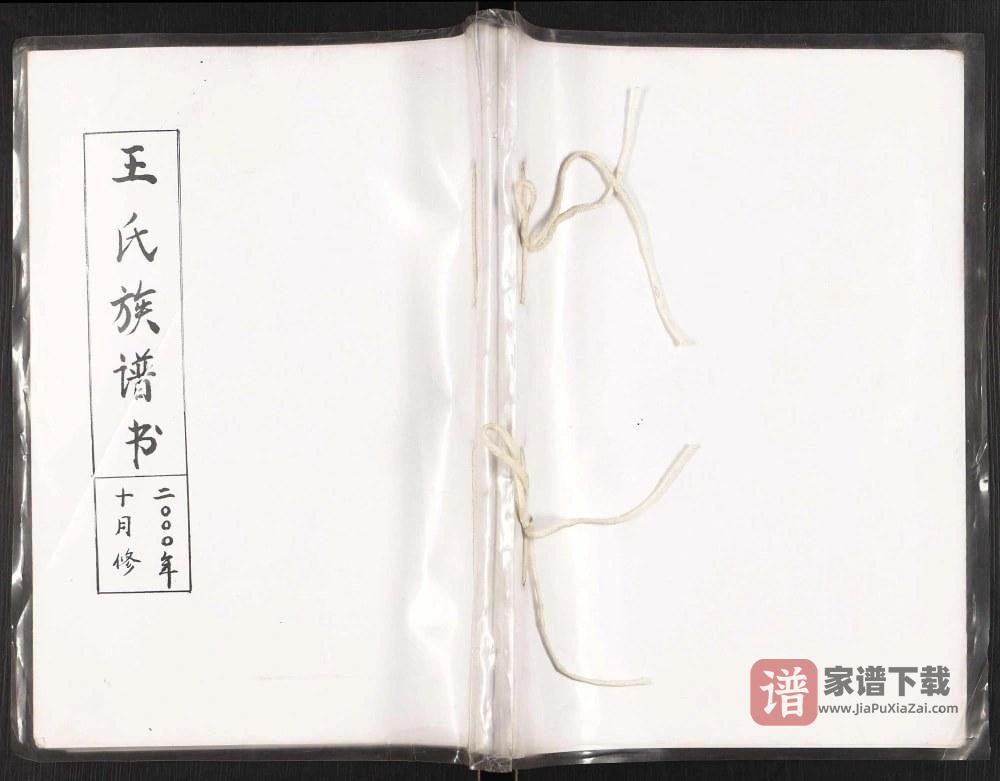 辽宁瓦房店王氏族谱书PDF高清电子版下载