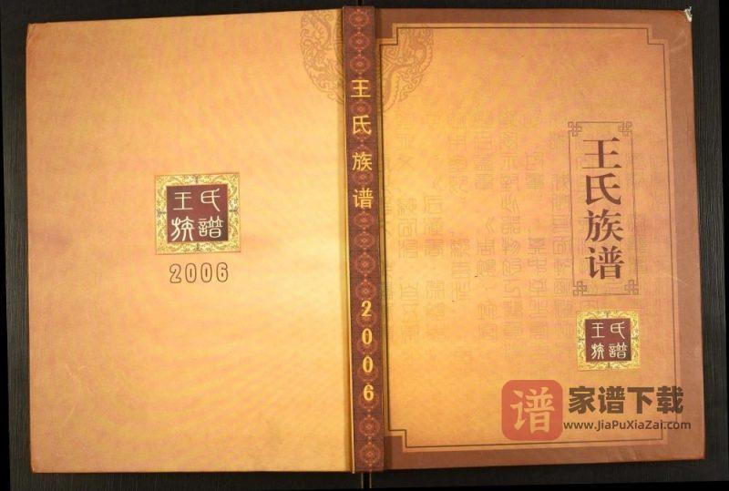 辽宁盘锦大洼区王氏族谱PDF高清电子版下载-家谱下载