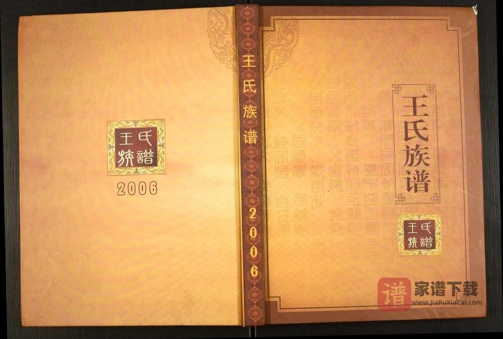 辽宁盘锦大洼区王氏族谱PDF高清电子版下载