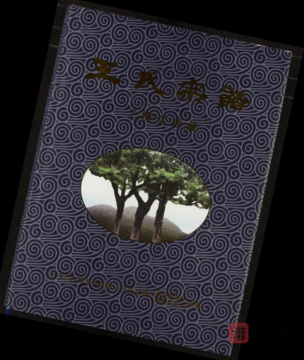 湖北广水王氏宗谱（三槐堂）PDF高清电子版下载