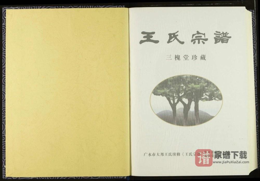 图片[2]-湖北广水王氏宗谱（三槐堂）PDF高清电子版下载-家谱下载
