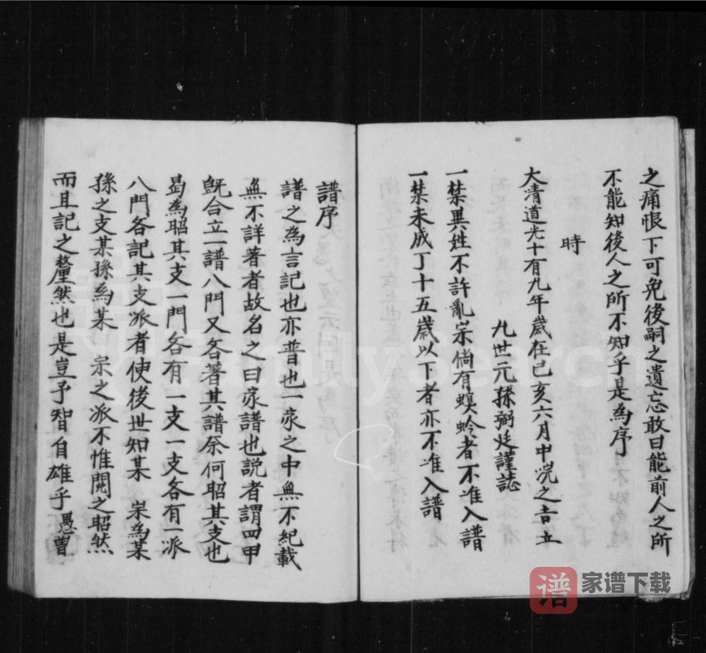 图片[2]-山西长治沁县卫氏家谱（积善堂）PDF高清电子版下载-家谱下载