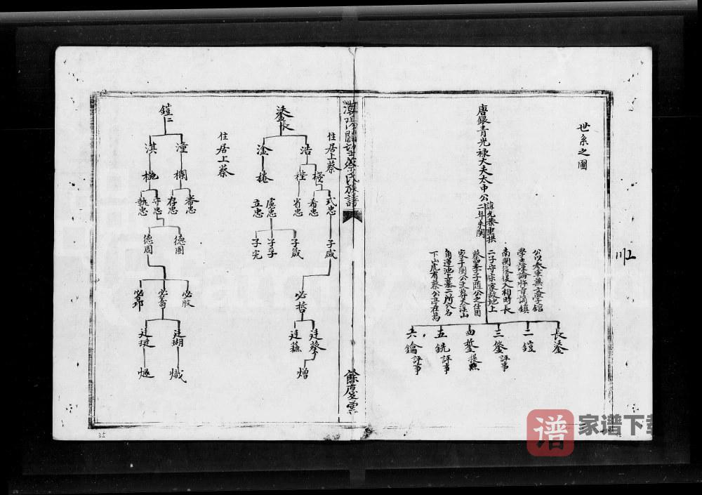 图片[1]-广东汕头澄海区潮阳辟望蔡氏族谱PDF高清电子版下载-家谱下载