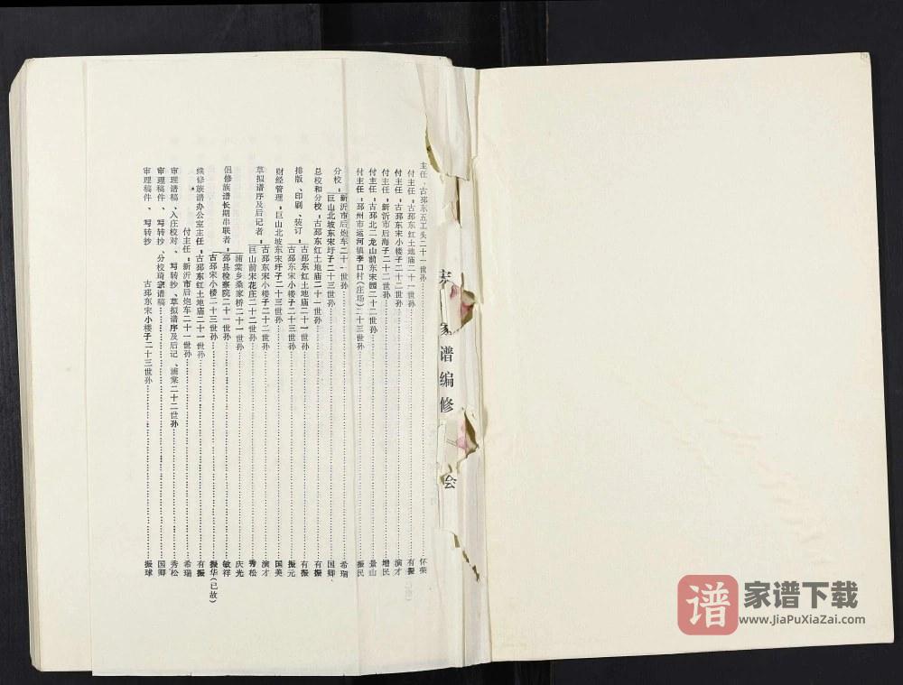 图片[2]-江苏邳州宋氏族谱（京兆堂）PDF高清电子版下载-家谱下载