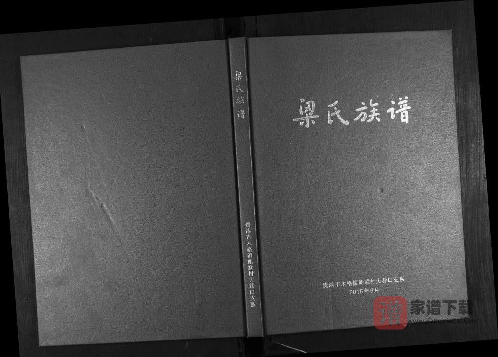 广西贵港梁氏族谱PDF高清电子版下载