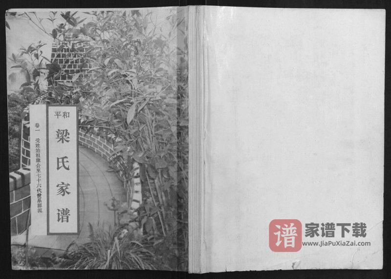 广东河源和平县梁氏家谱PDF高清电子版下载-家谱下载