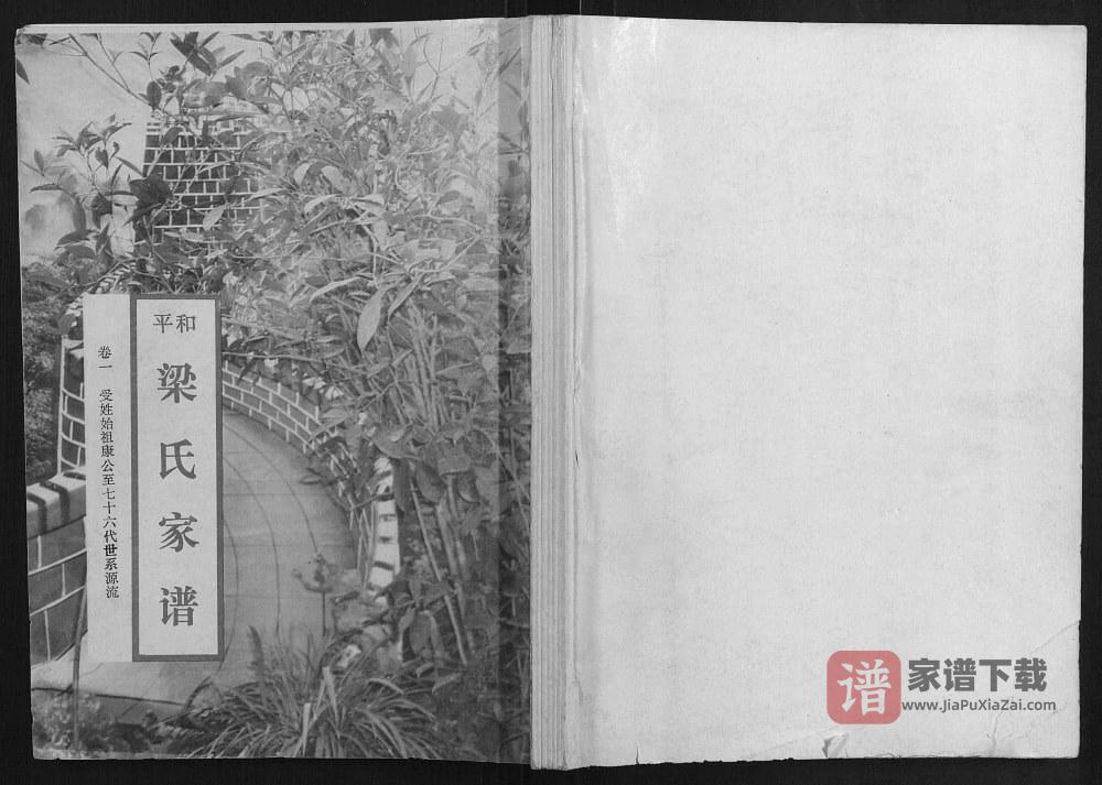 广东河源和平县梁氏家谱PDF高清电子版下载