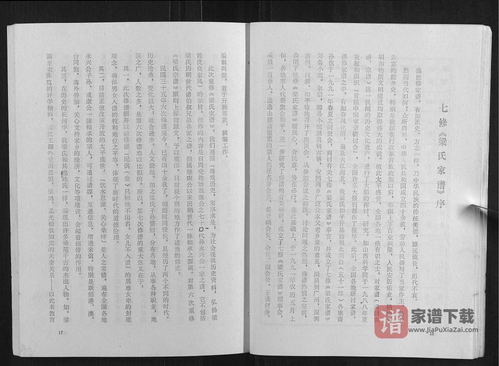 图片[2]-广东河源和平县梁氏家谱PDF高清电子版下载-家谱下载