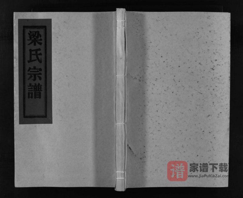 浙江乐清白岩梁氏宗谱PDF高清电子版下载-家谱下载