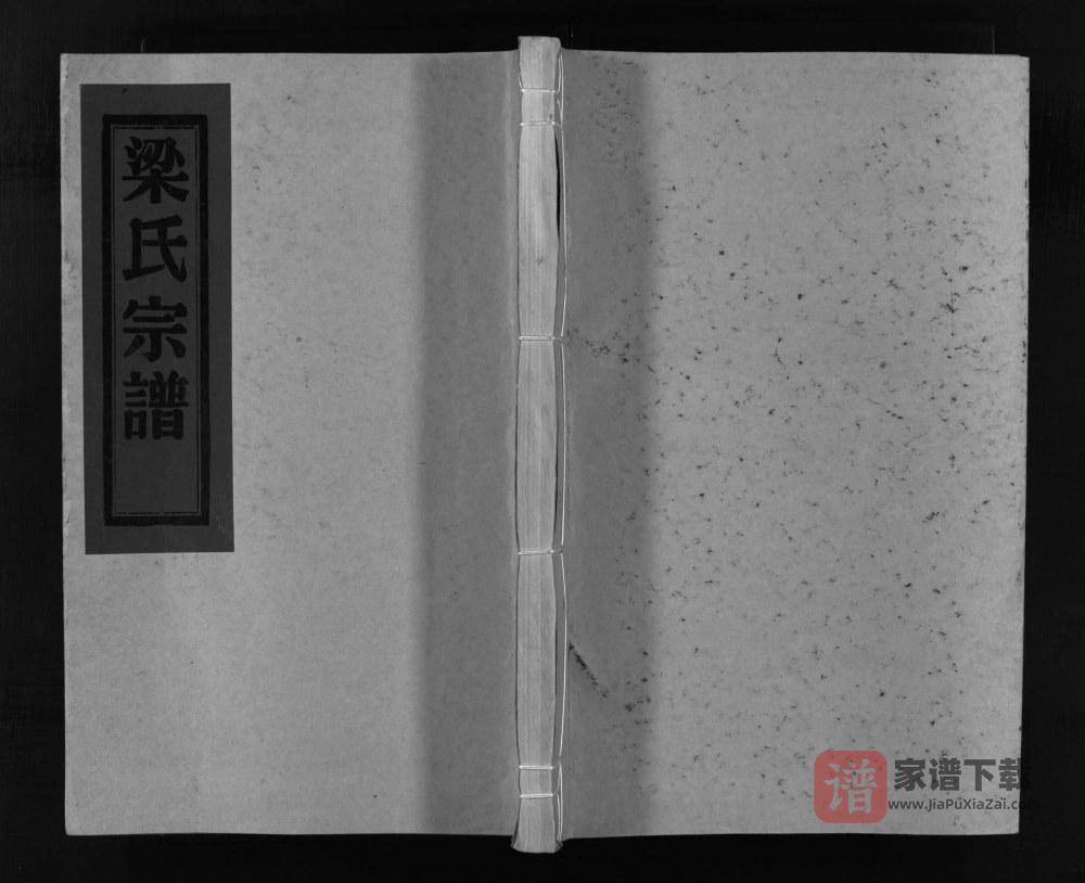 浙江乐清白岩梁氏宗谱PDF高清电子版下载