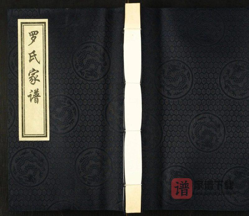 河北泊头罗氏民俯公家族谱（太和堂）PDF高清电子版下载-家谱下载
