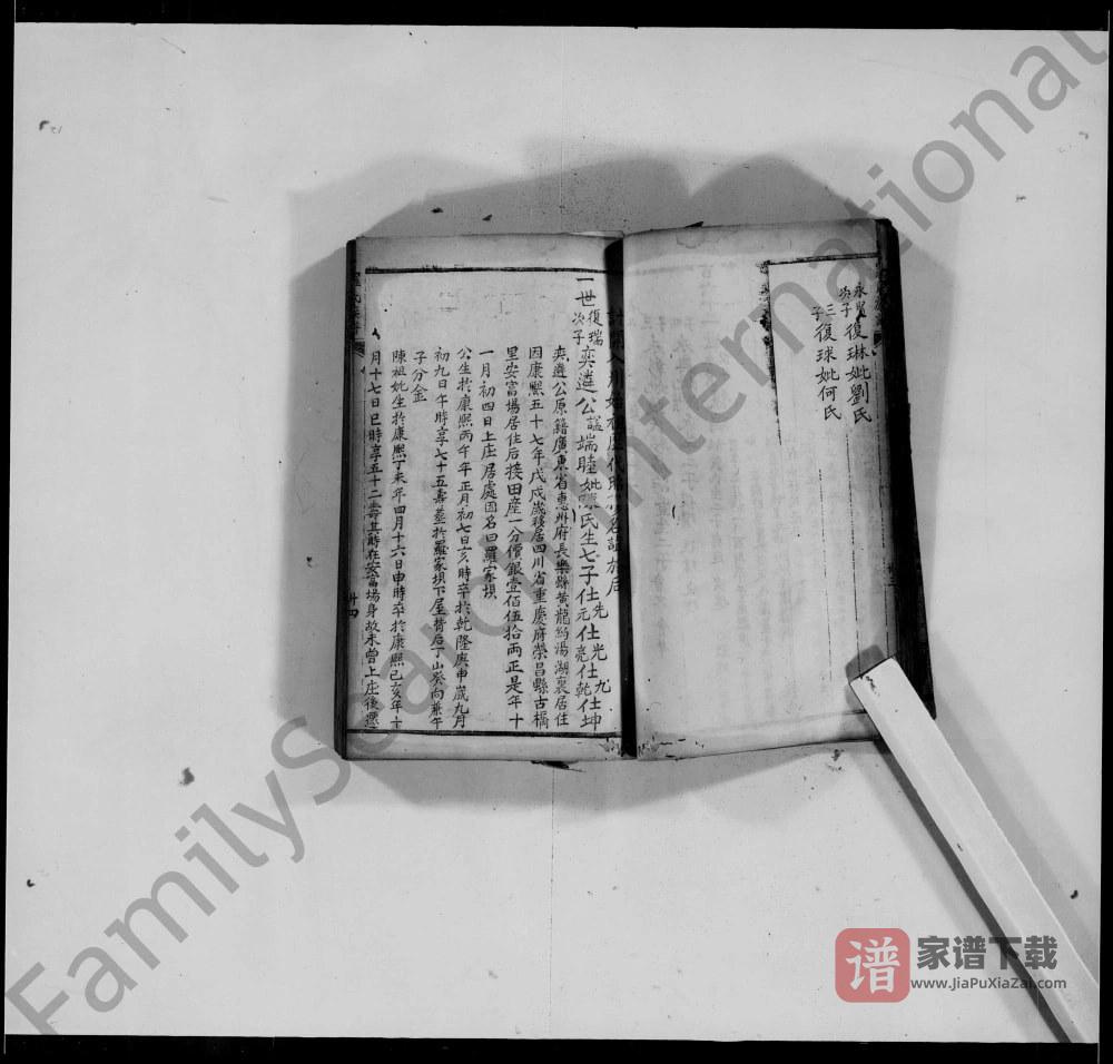 图片[1]-重庆荣昌罗氏族谱PDF高清电子版下载-家谱下载