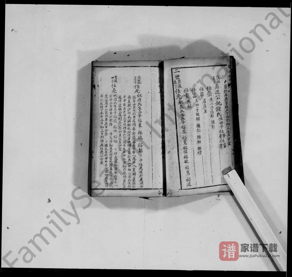 图片[2]-重庆荣昌罗氏族谱PDF高清电子版下载-家谱下载