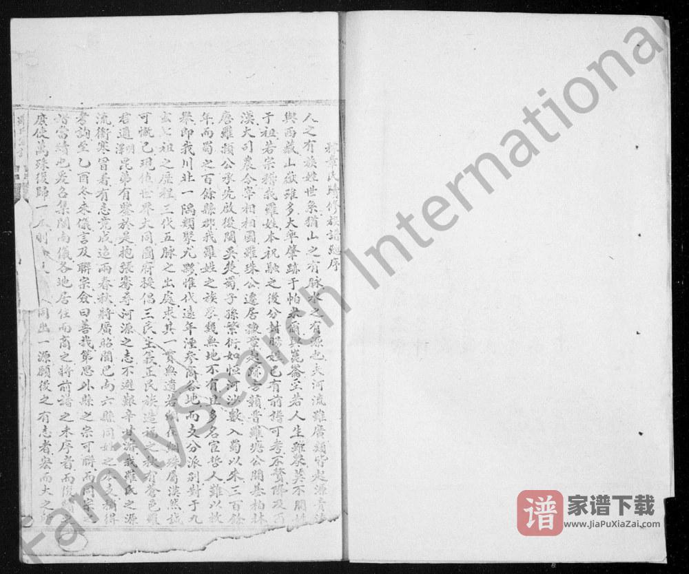 图片[2]-四川阆中罗氏族谱PDF高清电子版下载-家谱下载