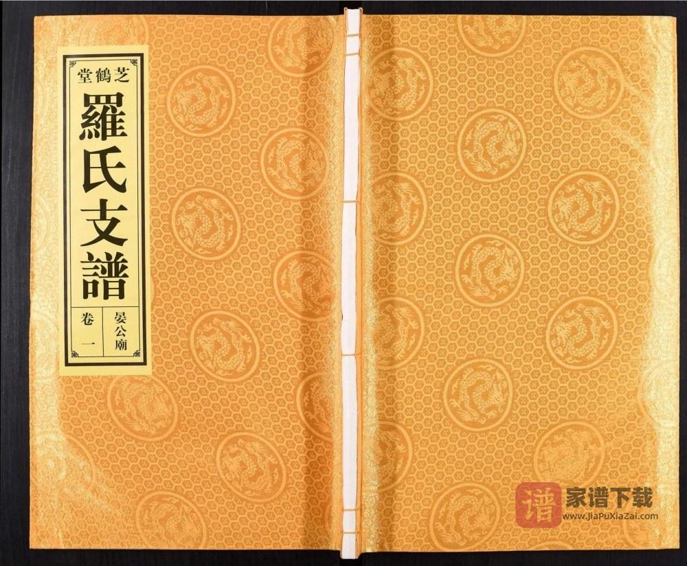 图片[1]-安徽合肥肥东县罗氏支谱晏公庙（芝鹤堂）PDF高清电子版下载-家谱下载