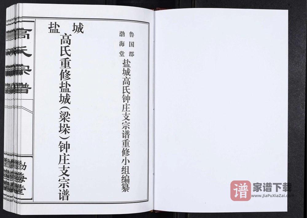 图片[2]-江苏盐城梁垛高氏钟庄支宗谱（渤海堂）PDF高清电子版下载-家谱下载